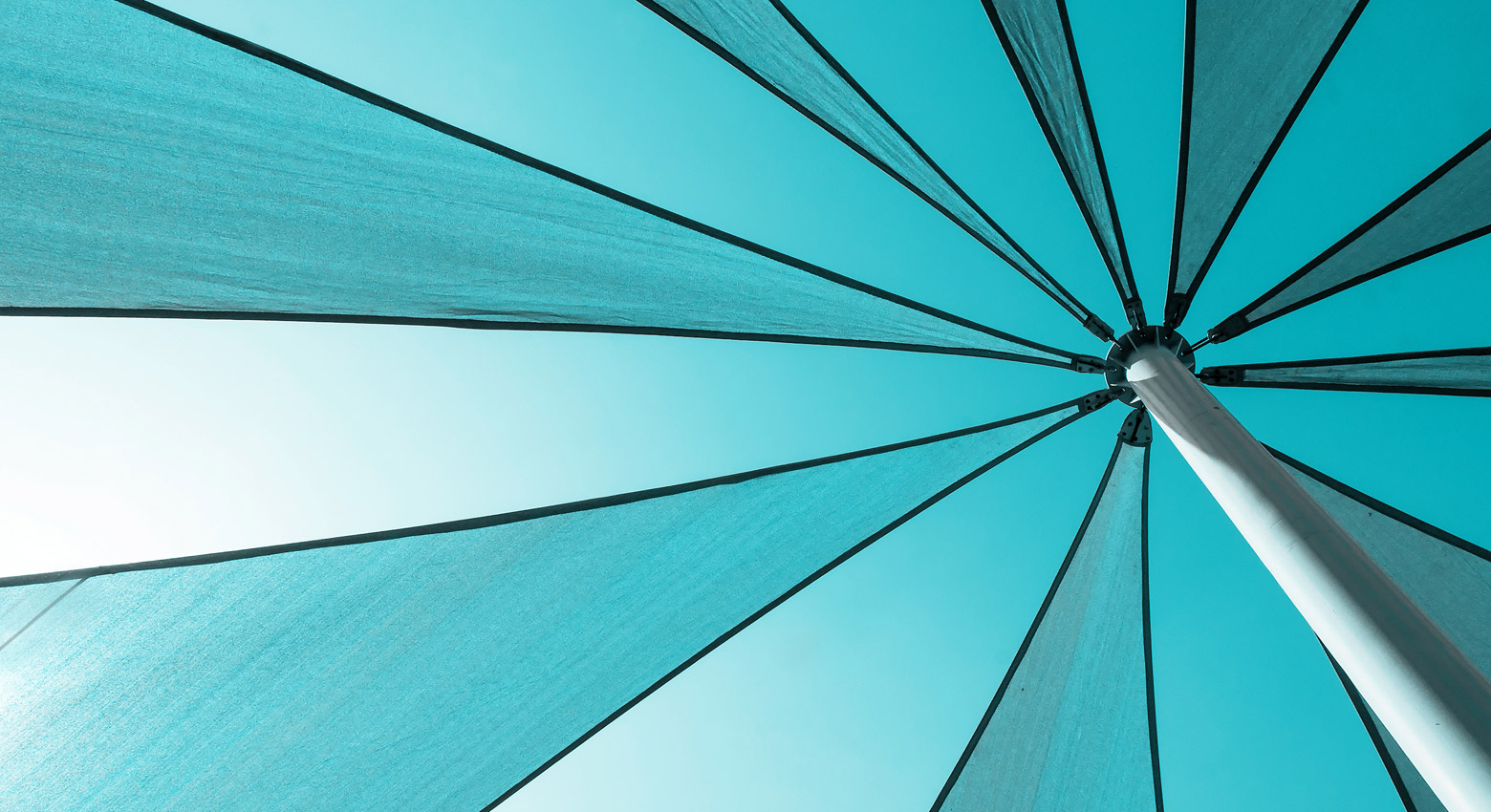 Umbrella 